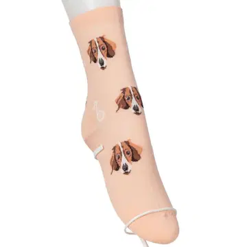 아쿠아 스큐텀 양말