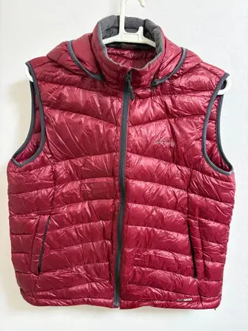 다운 베스트 버건디 에디 바우어