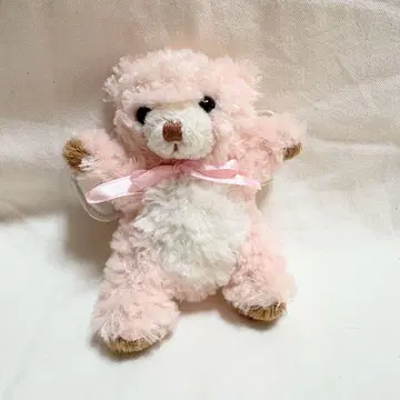 드리밍 베어 천사의 깃털 달린 봉제 인형