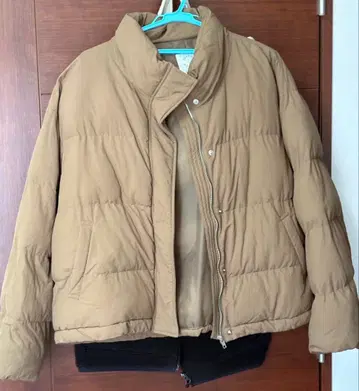 겨울 아우터 season reason