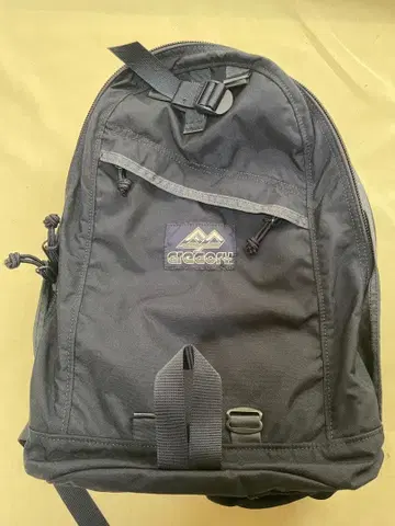 GREGORY x BEAMS PLUS 별주 DAY PACK