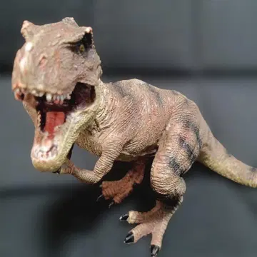 티라노사우루스 피규어 [ 전체 길이 약 30cm ]