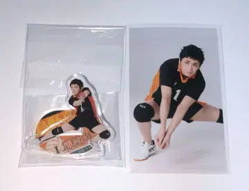 극큐 사와무라 다이치