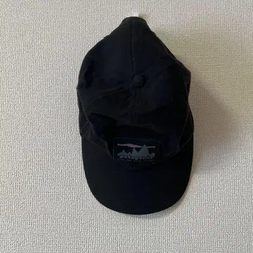 patagonia 블랙 캡