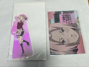 NARUTO 애니메이트 카페 아크릴 스탠드 특전 사쿠라
