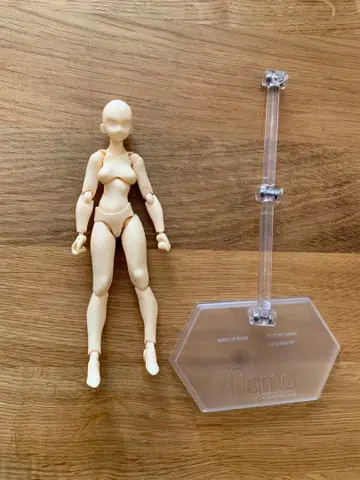 데셍 인형 바디짱