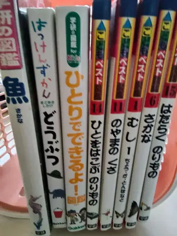 학습연구사 어린이용 도감 8권 세트