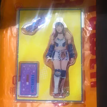 AZM 스타덤 아크릴 스탠드 키링 타워 레코드 아크릴 스탠드 한정판