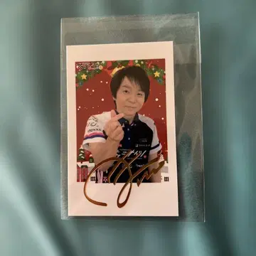 사쿠라나이츠 호리 신고 사인 포함 크리스마스 폴라로이드 (덤 포함)