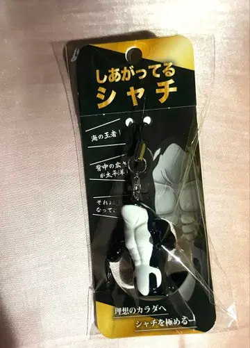 완성된 범고래 스마시 키링 이와모토 히카루 SnowMan