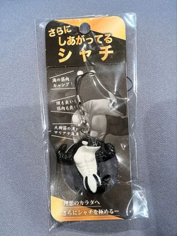 더욱 완성된 범고래 신상품 스마 시 키링