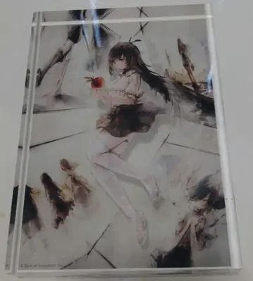 메멘토 모리 아크릴 블록 & A3 더블 스웨이드 패브릭 포스터