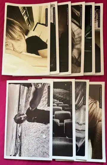 INORAN NO NAME? 뉴스레터 세트 덤 포함