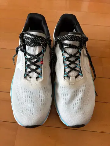 On Cloudmonster 2 - Cream/Horizon 26.5cm