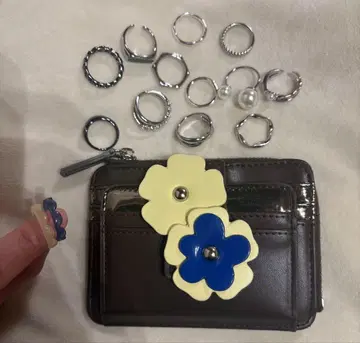 Ray BEAMS 별주 Casselini 플라워 코인 케이스