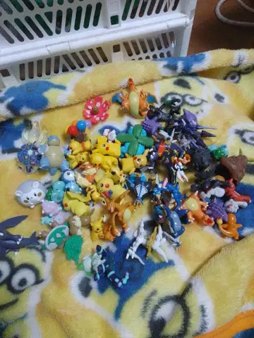 포켓몬 몬코레 묶음 판매