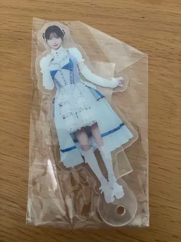 콘도 레이나 상하이 팬미팅 캐릭터 촬영 스틱