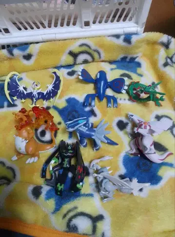 포켓몬 몬코레 묶음 판매