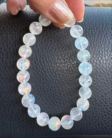 고품질! 레어 오렌지 시어! 화이트 래브라도 라이트