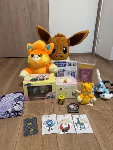 피카피카 박스 2026 코이킹 제외 묶음 판매