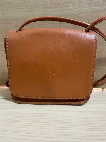 일비종떼 숄더백