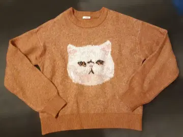 니코앤드 고양이