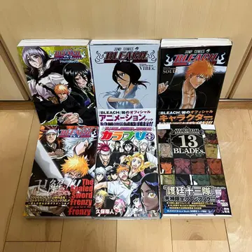 BLEACH 블리치 관련 도서 6권 세트