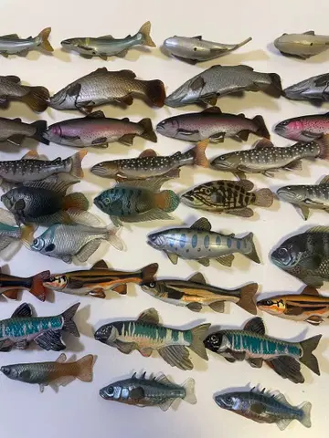 원색 담수어 도감 정크제품 받침대 봉 없음 대어!