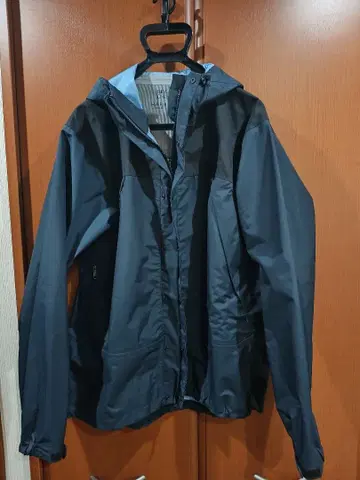 BEAMS LIGHTS 마운틴 후드티