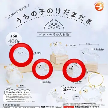 우리 아이 털뭉치 3개 세트 포메라니안 치와와 동그란 늘어진 귀