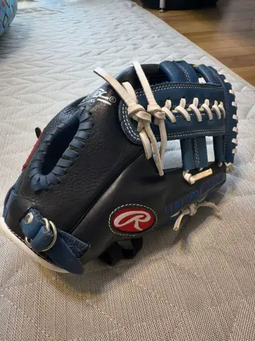 Rawlings The Gold Glove Co. 그로브