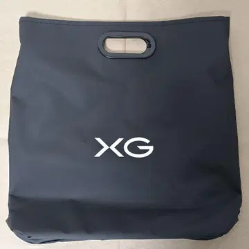 XG record Bag 레코드 백