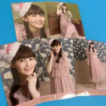 노기자카46 5종 브로마이드 할로윈 2025 마츠오 미유