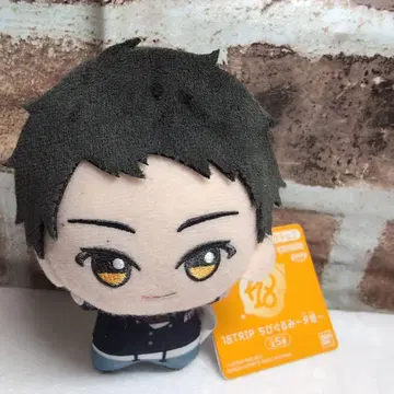 18TRIP 남코 한정판 키노우치 타오 SD 인형 유한