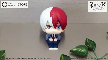 룩업 토도로키 쇼토