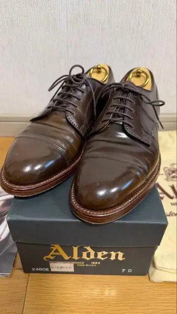 컨디션 최상 알든 캡토 시가 24802 7D