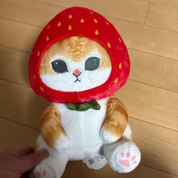 후르츠냥 BIG 봉제 인형 mofusand 딸기 고양이