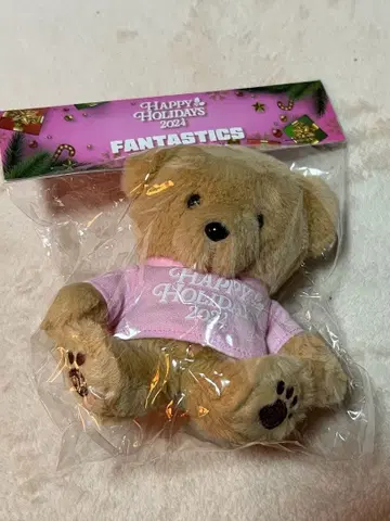 FANTASTICS TRIBEAR 키링 봉제 인형 2024