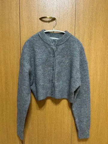 ZARA 크롭 니트 가디건 그레이