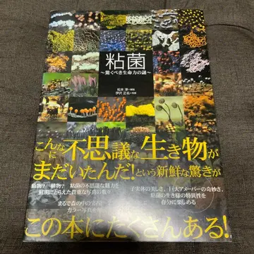 점균 : 놀라운 생명력의 수수께끼