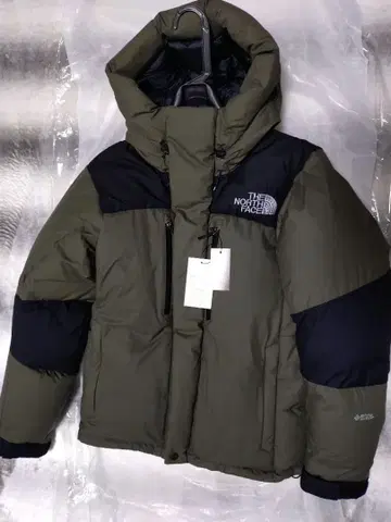 THE NORTH FACE 바르톨로 ND91950 카키