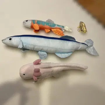 리얼 물고기 봉제 인형 세트