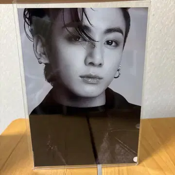 BTS 정국 포트레이트