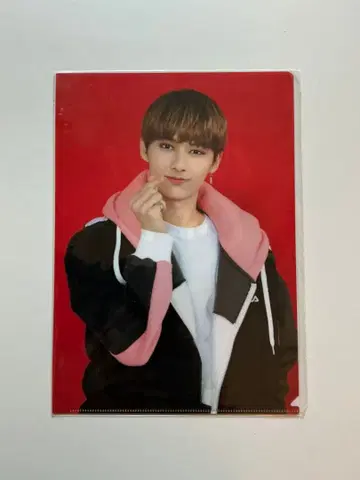 SEVENTEEN JUN Carat Camp 클리어 파일