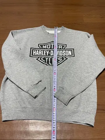 HARLEY-DAVIDSON 그레이 트레이닝복