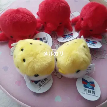 오테다마 해유관 복어.문어 총 5마리