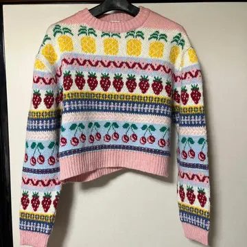 ZARA 후르츠 패턴 크롭 니트 스웨터