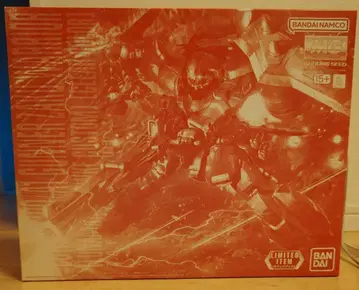 MG 1/100 거너 자쿠 워리어 (루나 마리아 호크 커스텀)