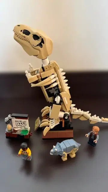 LEGO 76940 쥬라기 월드 T-렉스 대화석