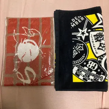 2019년 지방민에 대해 진심으로 생각해 본 타월